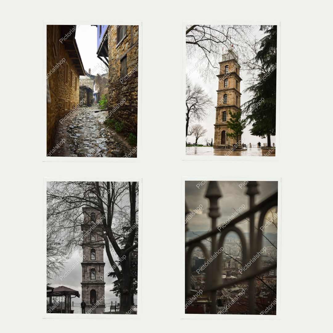 Bursa